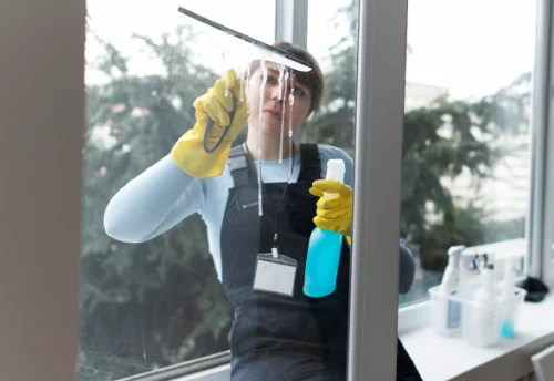 Nettoyage de vitres intérieures et extérieures aux Velluire-sur-Vendée